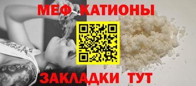прущие грибы Будённовск