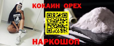 прущие грибы Будённовск